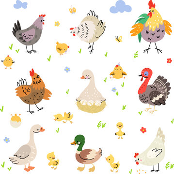 Farm birds cartoon set. Duck on nest, turkey and hen with yellow chickens. Cute agriculture bird, rooster and poultry. Nowaday isolated vector clipart