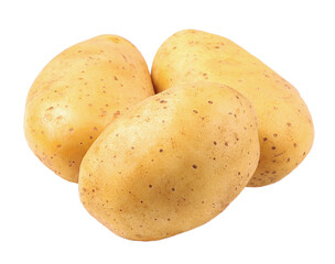 Raw potato isolated on a white background