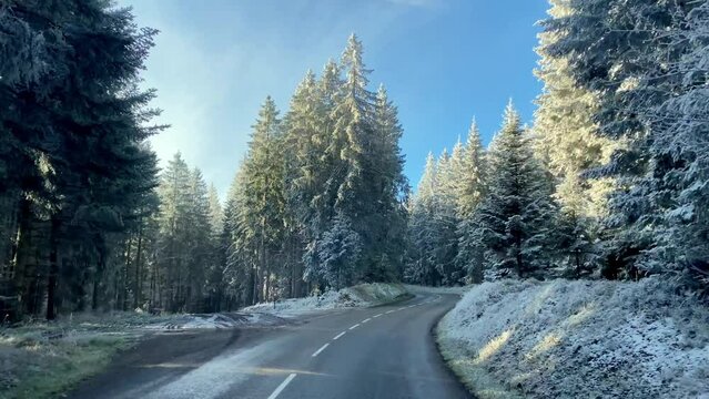 Image about road in winter in a beautiful forest