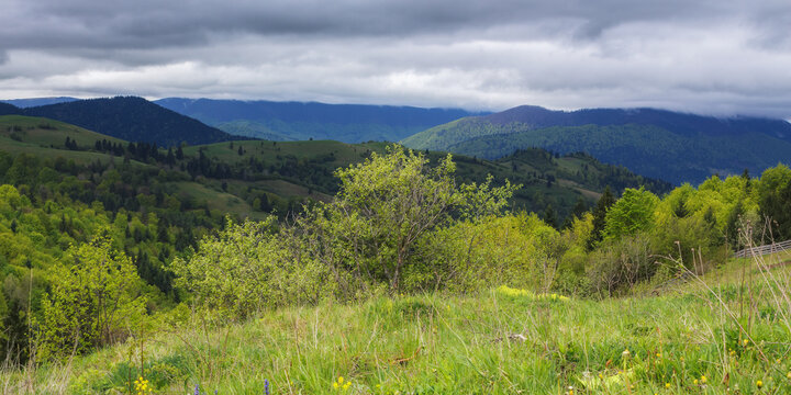 rural landscape with grassy meadows and pastures. mountainous countryside scenery in spring