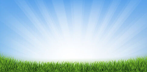 Fototapeta premium Blue Sky And Green Grass Border