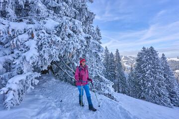 nice and active senior woman snowshoeing in deep powder snow  in the mountains of the Bregenz Forest  Alps near Sulzberg, Vorarlberg, Austria