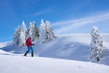 nice and active senior woman snowshoeing in deep powder snow in themountains of the Allgau alps near Balderschwang, Bavaria, Germany
