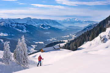 nice and active senior woman snowshoeing in deep powder snow in themountains of the Allgau alps near Balderschwang, Bavaria, Germany
