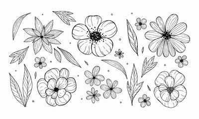 abstract flowers and leaves hand drawn. petals and buds scattered around the background. flower sketches.