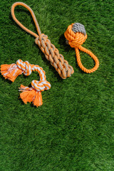 Set of orange rag and rubber toys for dogs on synthetic grass, layout, hard light