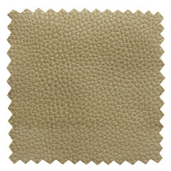green leather samples texture isolated with clipping path for mockup