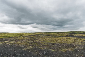 Foto op Canvas Vast land covered with gravel and moss in Iceland on cloudy day © Renata