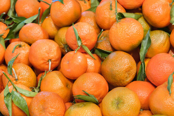 Mandarin oranges in plastic mesh fruit bags at the supermarket.