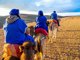 Camel excursion through the desert in Marrakech Morocco