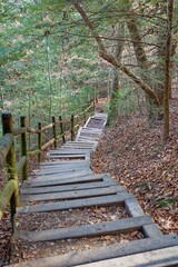 Stairs up a mountain trail