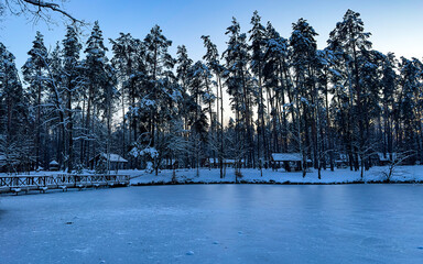 Winter landscape with snow-covered pine trees and frozen lake