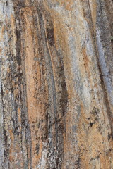 Gold brown and grey stone patterns with stripes from riverbed of Vale Verzasca in Switzerland