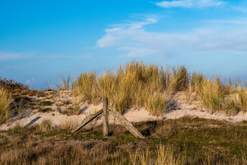 Ein Nachmittag im Dezember