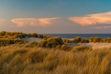 Ein Nachmittag im Dezember