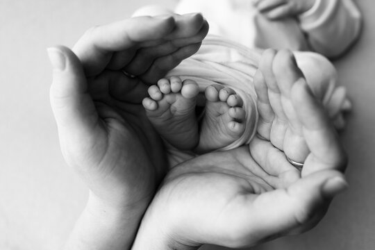Little feet of a newborn in the hands of mom. The loving palm hand of a mother. Concept image of motherhood. Close-up, selective focus. Black and white professional photography.