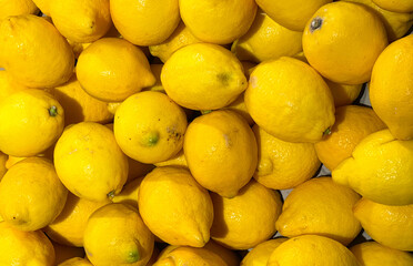 many yellow lemons in a supermarket - concept: sour makes fun