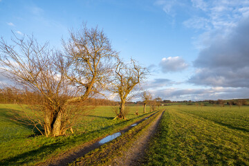 Möttlingen Landschaft