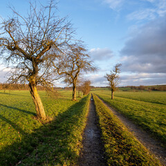 Möttlingen Landschaft