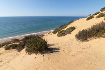 One of the most beautiful beaches in Spain, called (El Asperillo, Doñana, Huelva) in Spain.  Surrounded by dunes, vegetation and cliffs.  A gorgeous beach.