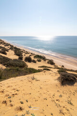 One of the most beautiful beaches in Spain, called (El Asperillo, Doñana, Huelva) in Spain.  Surrounded by dunes, vegetation and cliffs.  A gorgeous beach.