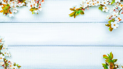 May flowers spring blossom. April floral nature blooming tree on wooden background. Easter Sunny day. Orchard abstract blurred background. Springtime.