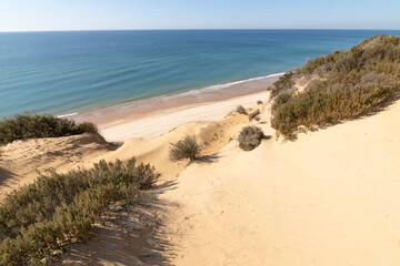 One of the most beautiful beaches in Spain, called (El Asperillo, Doñana, Huelva) in Spain.  Surrounded by dunes, vegetation and cliffs.  A gorgeous beach.