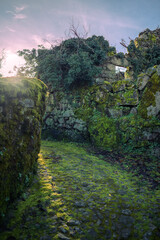 Fototapeta na wymiar passageway between two stone walls with moss