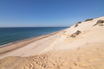 Fototapeta na wymiar One of the most beautiful beaches in Spain, called (El Asperillo, Doñana, Huelva) in Spain. Surrounded by dunes, vegetation and cliffs. A gorgeous beach.