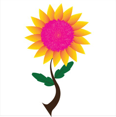 vector beautiful flower plant illustration