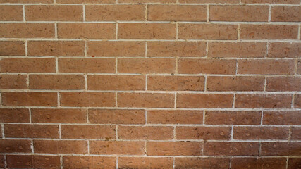Muro de ladrillo quemado color cafe. 