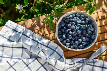 Fresh organic blueberries. Juicy ripe bilberry in white bowl on wooden table in the garden. Antioxidant and healthy eating concept.