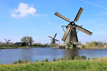 Fototapeta na wymiar windmills in holland at the river