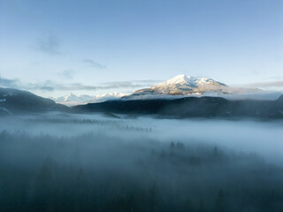 Green Trees in Forest with Fog and Mountains. Winter Sunny Sunrise. Canadian Nature Landscape Background. Near Squamish, British Columbia, Canada.