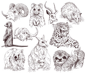 Set of hand drawn sketch style animals isolated on white background. Vector illustration. - 568553402