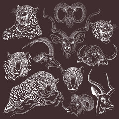 Set of hand drawn sketch style animals isolated on dark background. Vector illustration. - 568553409