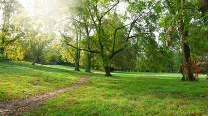 Green summer landscape of city public park