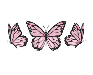 pink watercolor butterfly design hand drawn