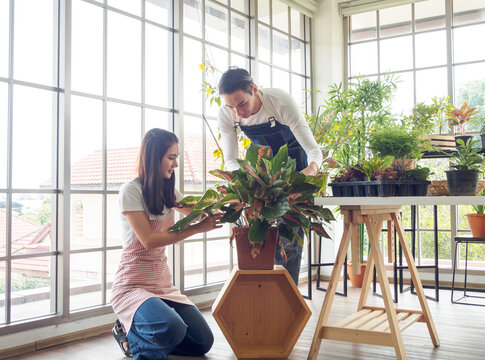 Gardener Young Asian Man Woman Two Person Stand And Sit Wooden Floor Smiling Looking Hand Holding Help Decorate Tree Leaf Green In Calm Work Shop Home Plant White Wall. Hobby Job Happy And Care Concep