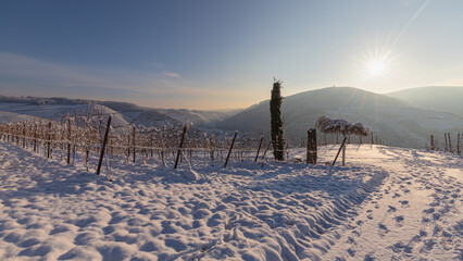Winter in den Weinbergen oberhalb von Dernau