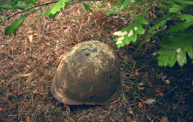 A rusty soldier's helmet lies on the ground under the leaves of a tree. A soldier's metal helmet.