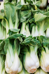 Obraz premium Background of bok choy or pok choi is a type of Chinese cabbage, green leaf vegetable.
