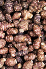 Background of fresh Jerusalem Artichokes or sunroot, sunchoke.