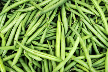Heap of fresh green beans on market or harvest, green strings vegetable background.