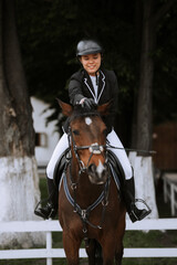 Dressage horse and a rider