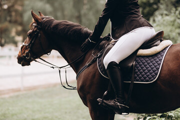 The sportswoman on a horse. The horsewoman on a red horse. Equestrianism. Horse riding. Horse...