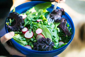 Clean eating, vegan healthy salad bowl, plant based healthy diet with salad, kale, green onion,radish and spinach
