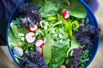 Clean eating, vegan healthy salad bowl, plant based healthy diet with salad, kale, green onion,radish and spinach - 568562810