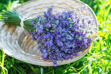 Lavender bouquet - 568562823