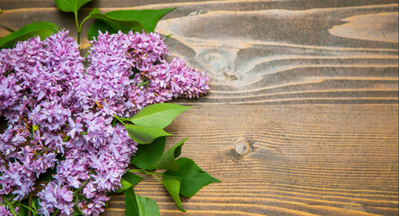 Lilac flowers on wooden background, top view of  purple lilac bouquet